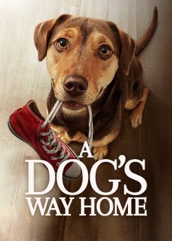 Phim Phim Đường Về Nhà Của Cún Con – A Dog’s Way Home (2019)